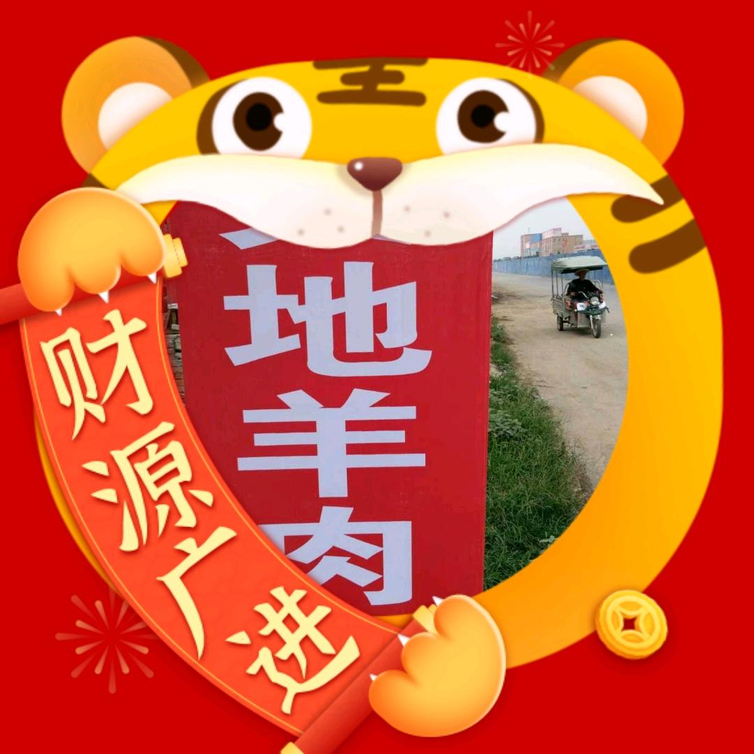 遂平  🌺 邢哥✊