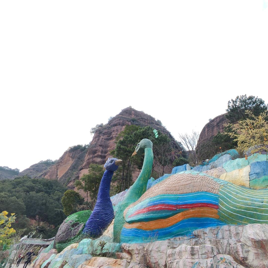 流连忘返的牛