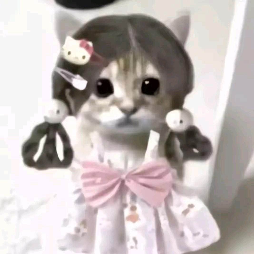 芬芬.幸运之星 ，
