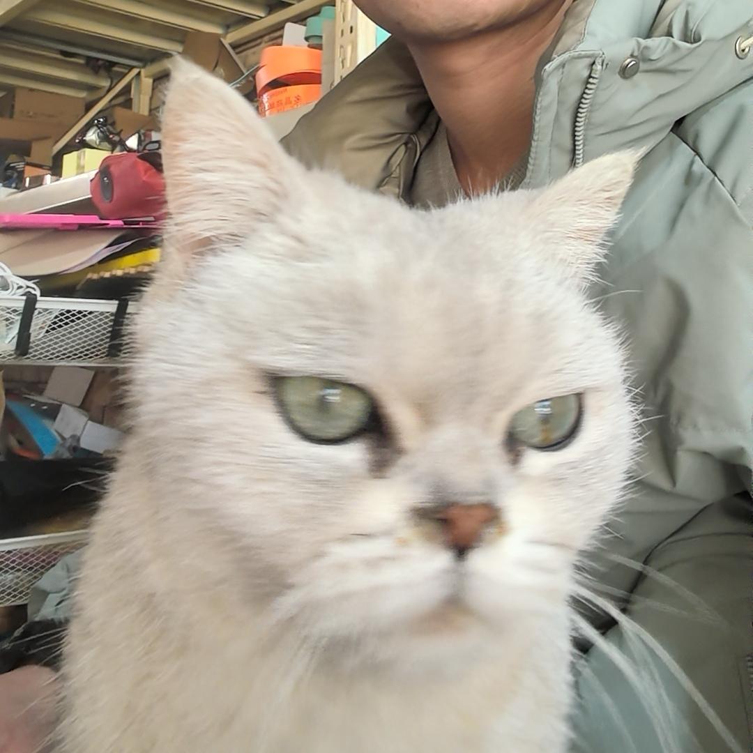 高磊渔具