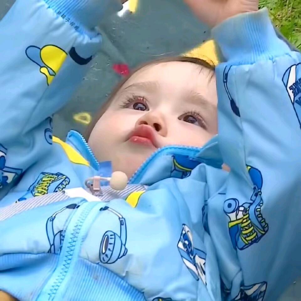 白日曛