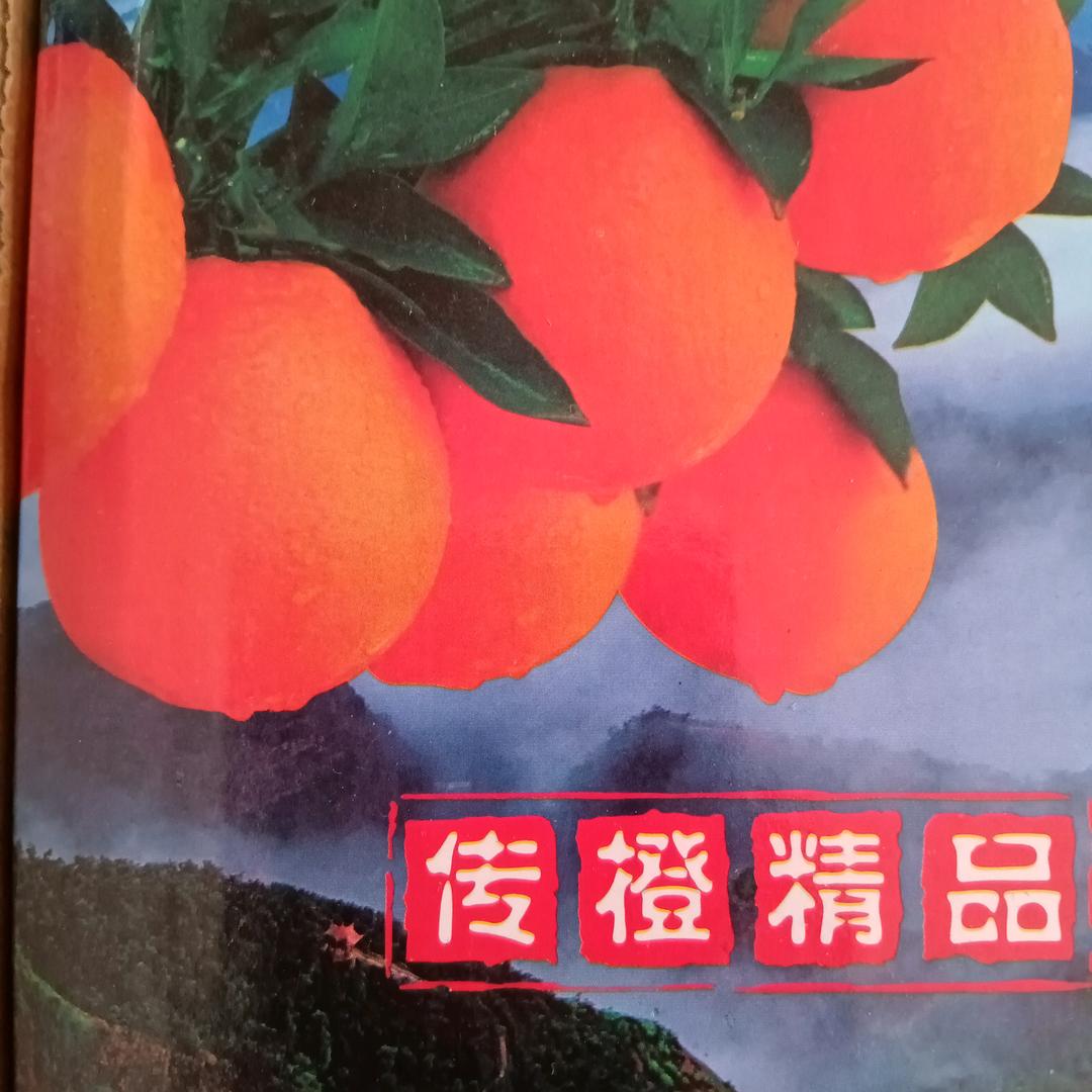 湖南崀山·脐橙
