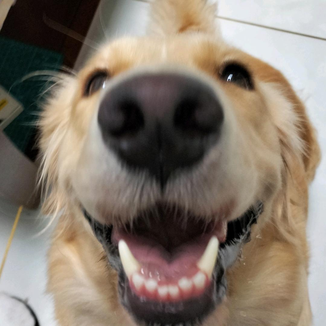 今天晒太阳了吗