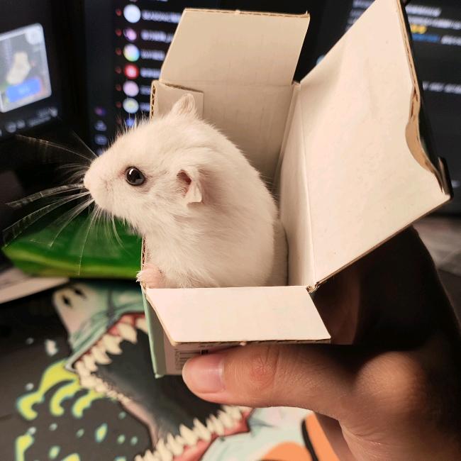 寒夜灯前赖酒壶