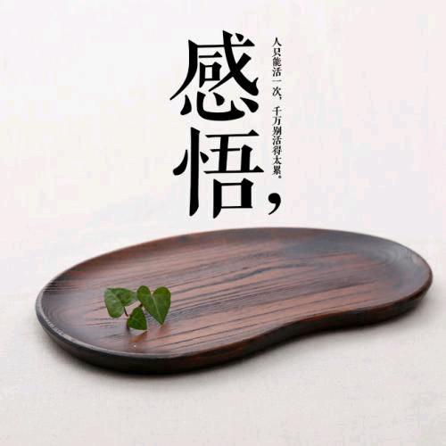 万军财商陪跑营
