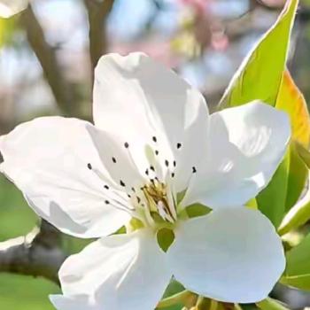 缘来只是路过🐮