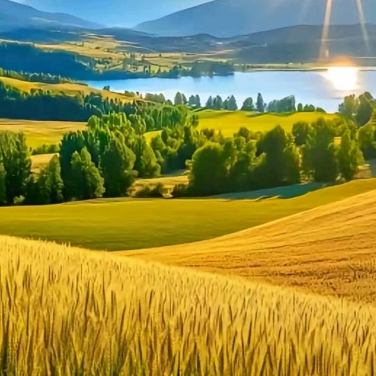 👀👀👀往事清零