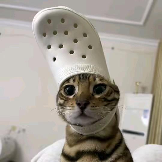 小易儿