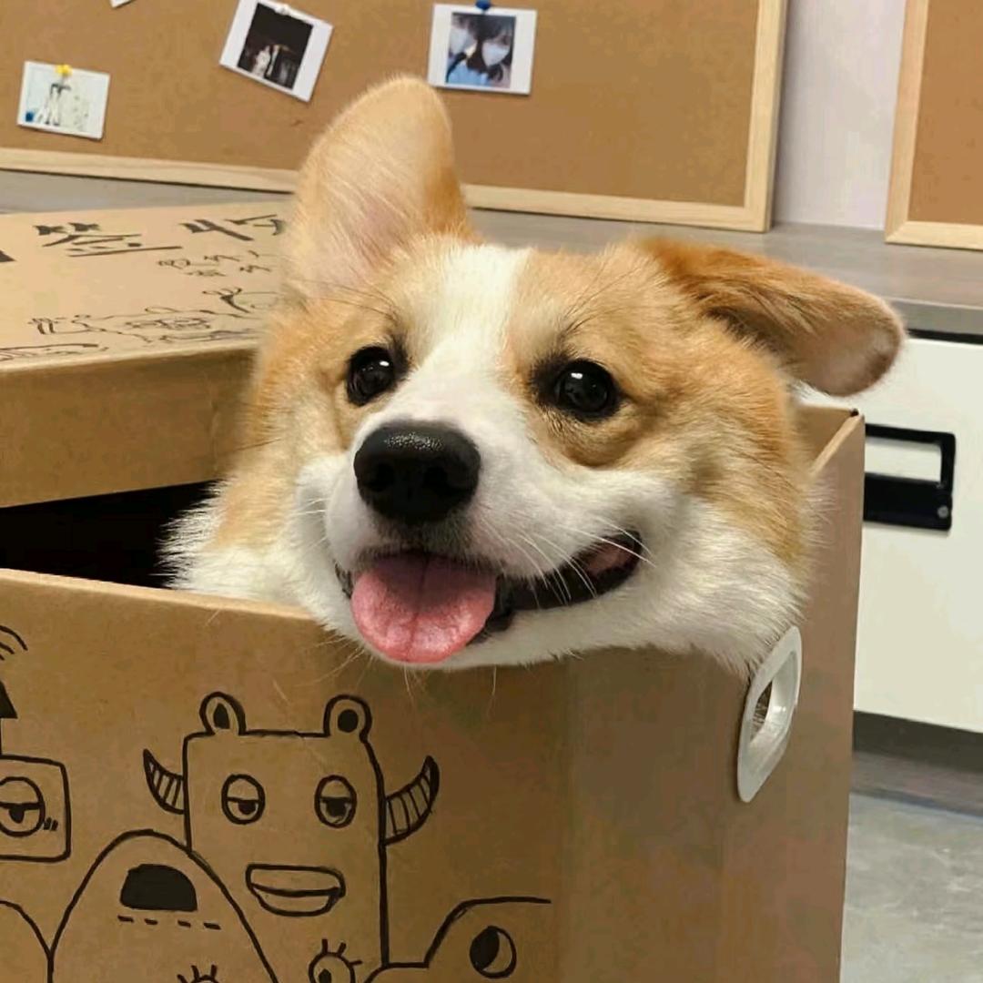 诶嘿