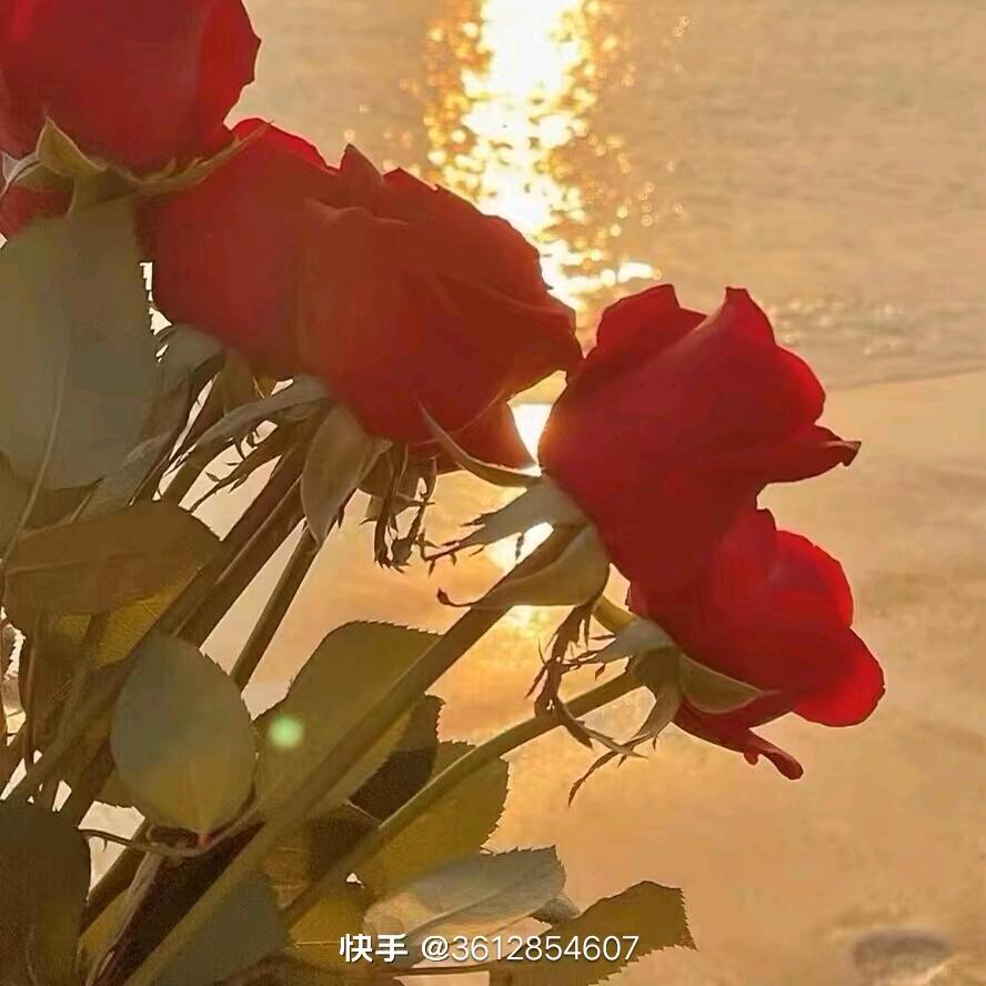 幸福之家……