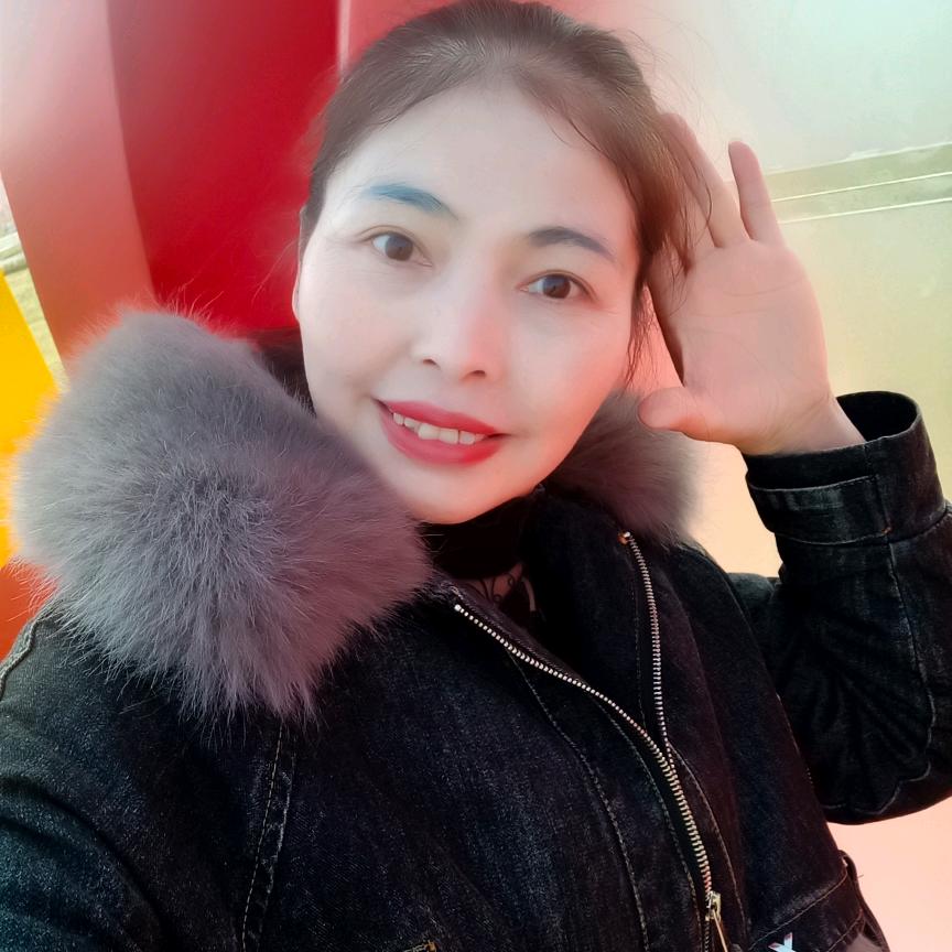 菊花花