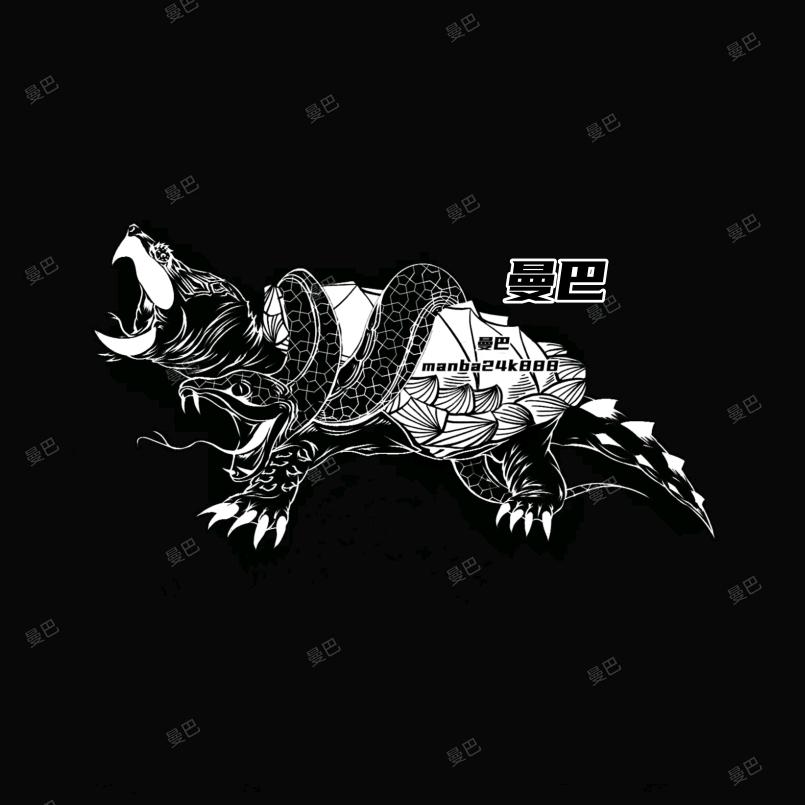 曼巴鳄龟繁育（挑龟丝）