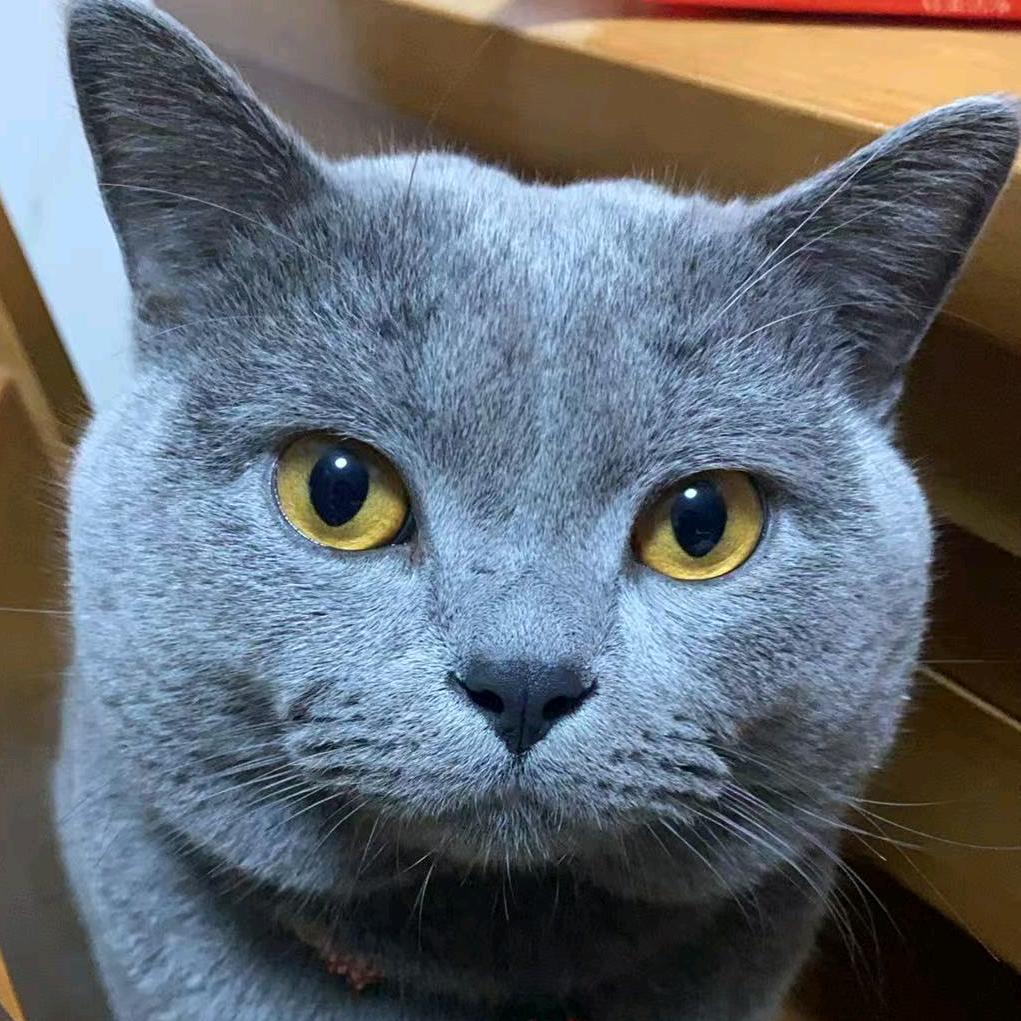 小英