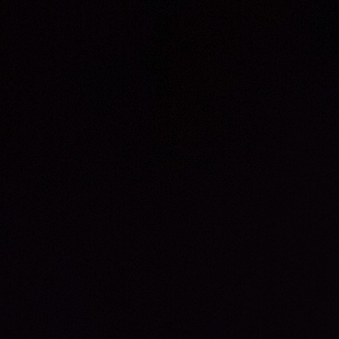 笨鸟