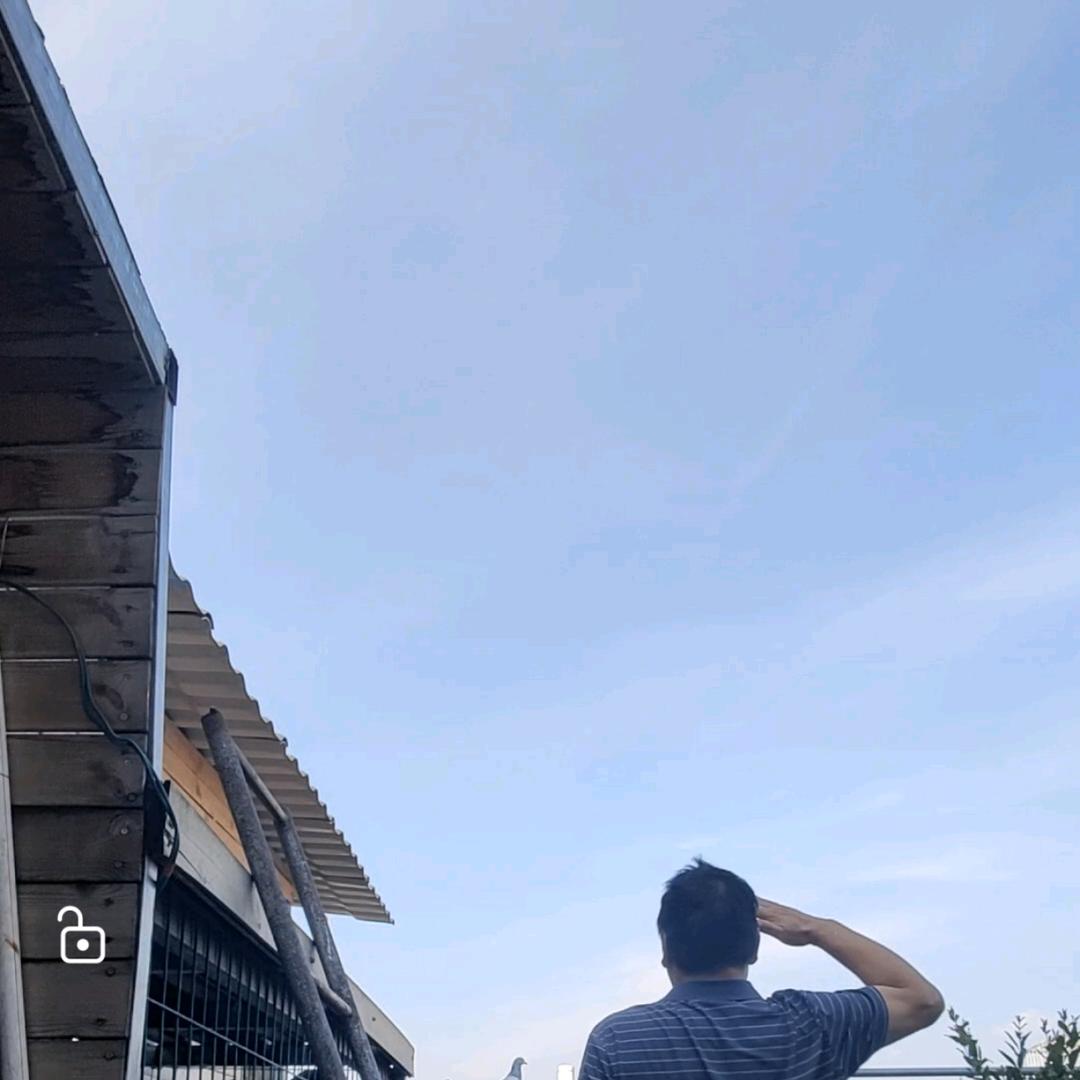 超然