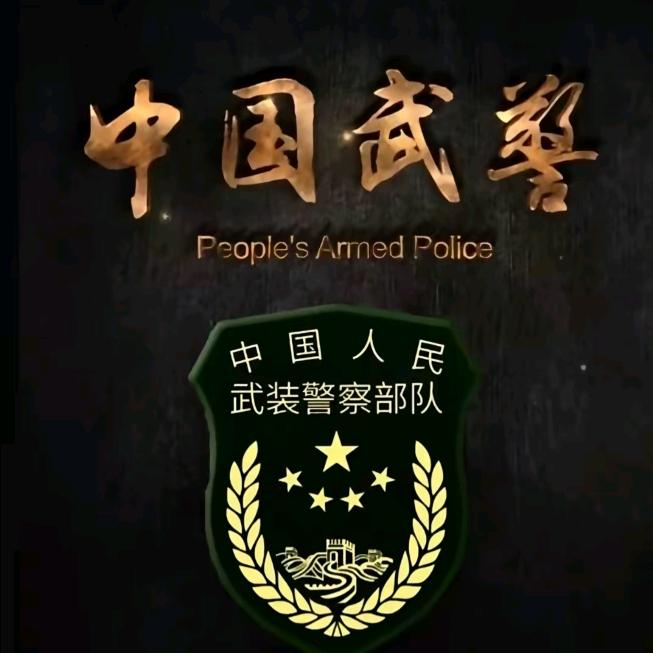爱玩车老炮🐯🔥💪