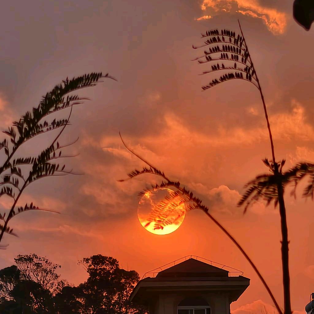 邮邮 . 香港精选好物