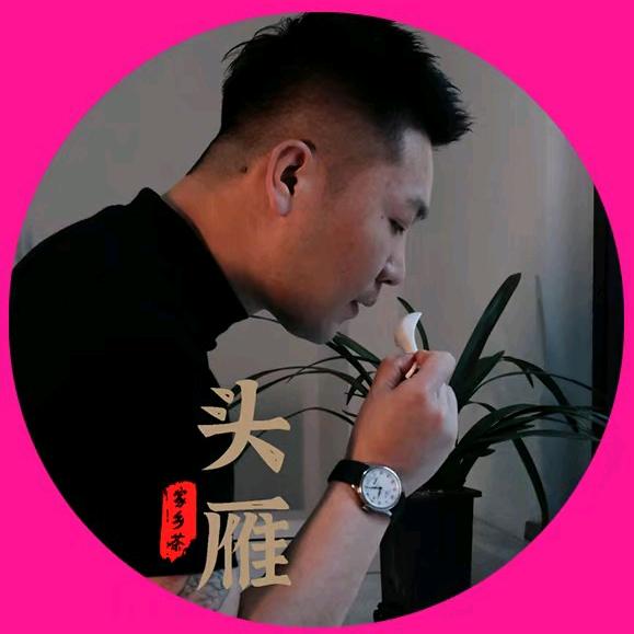 头雁家乡茶（叶磊）