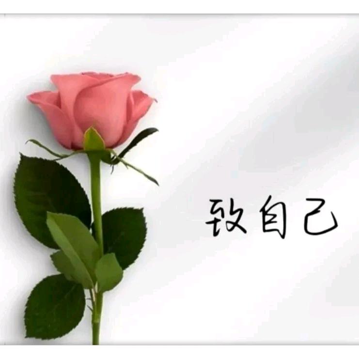 虞芳草