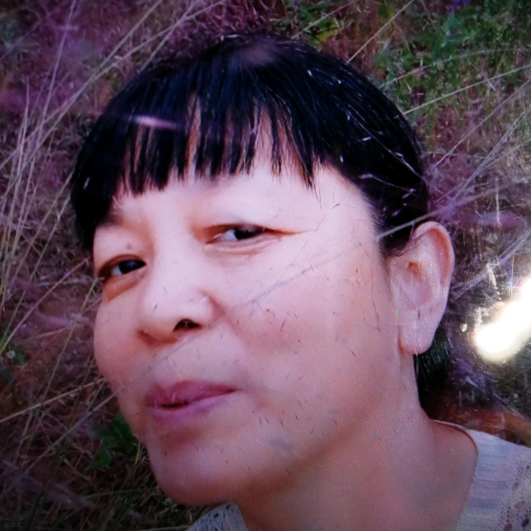 凤落银山