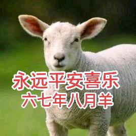 开心果罗💃🏻姐