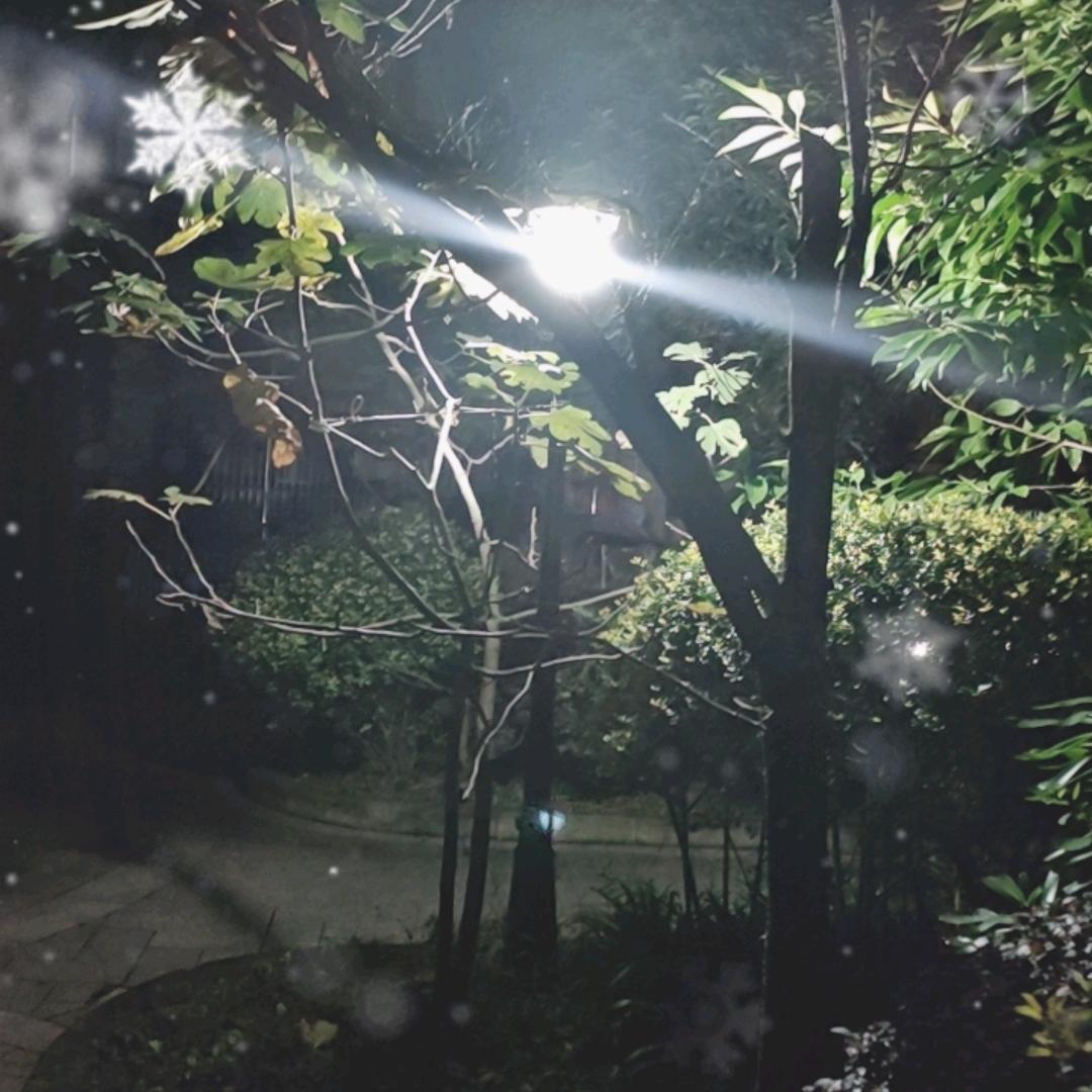 @✨༺ཌༀ执着🌹✨718✨