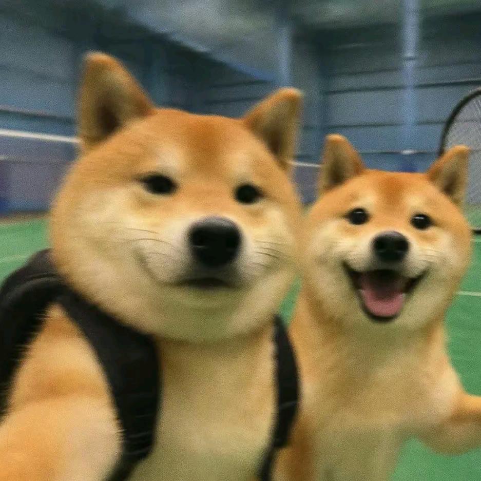 爱要坦荡荡