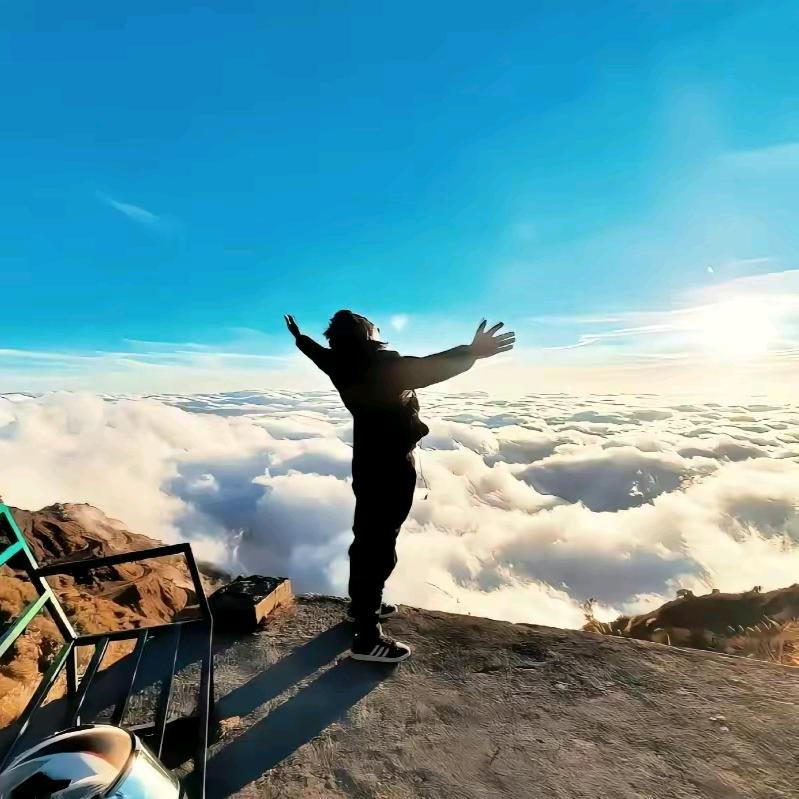 烟酒人生