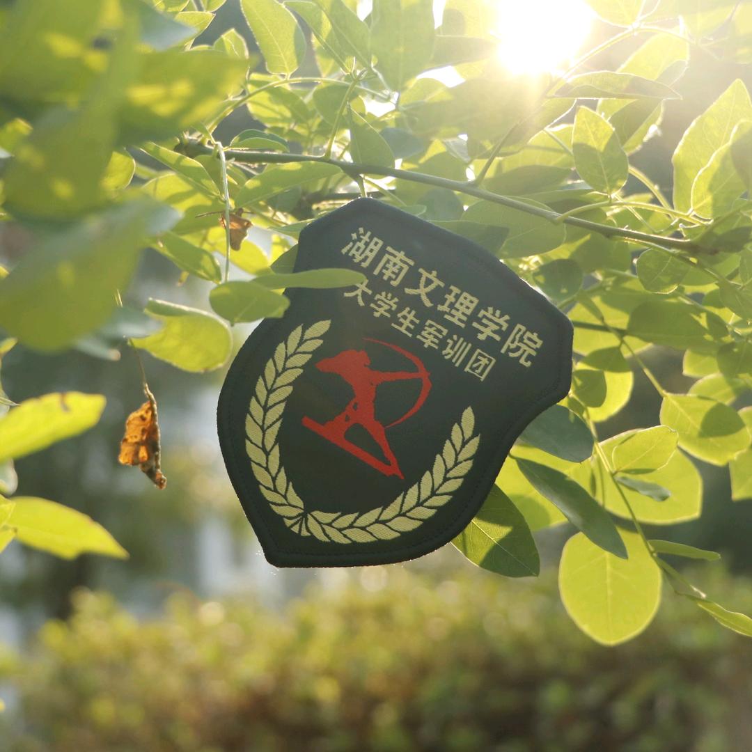 湖南文理学院大学生军训团