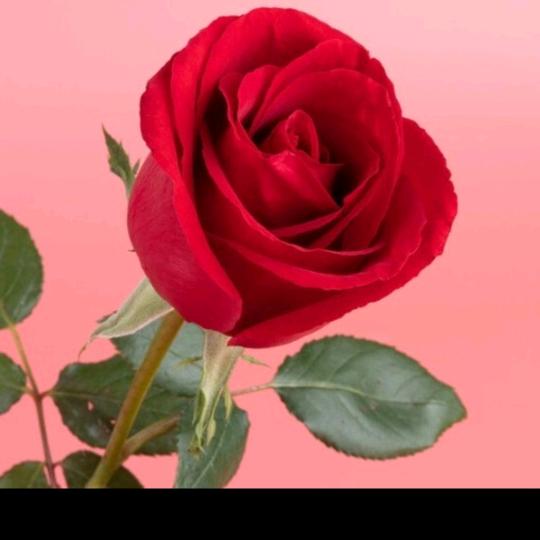 看忘得失～随缘