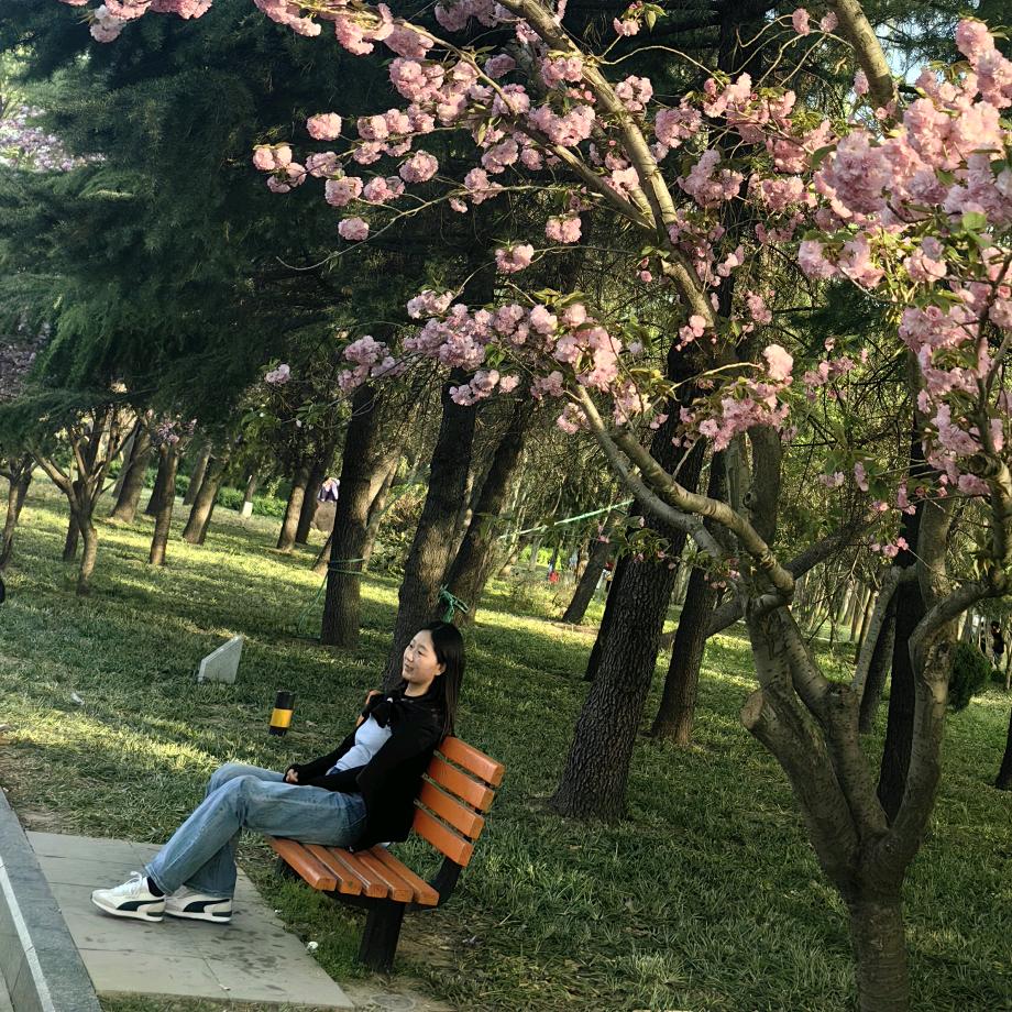 窗台上的猫.
