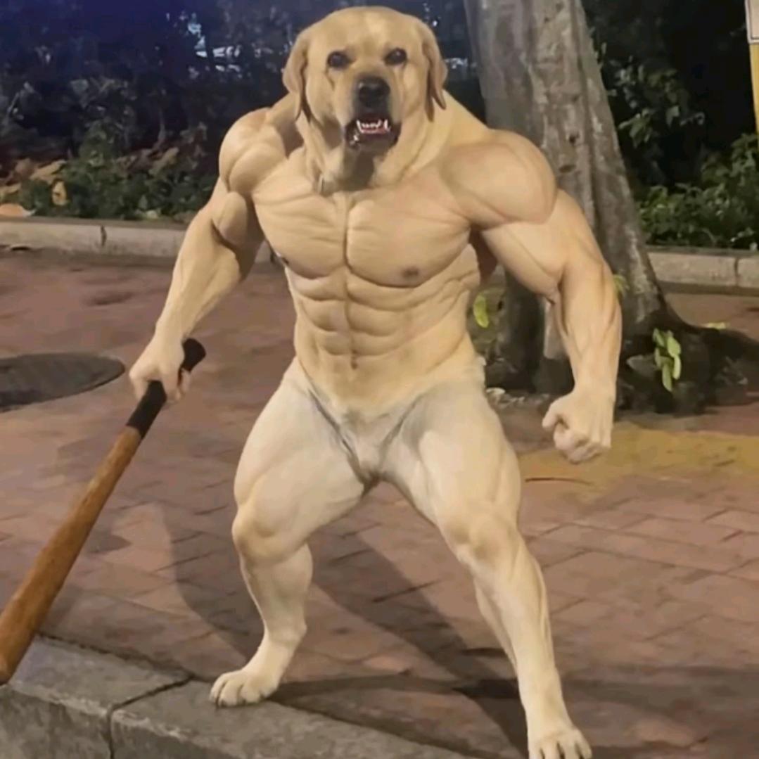 ▶• ılıılıılıılıılı