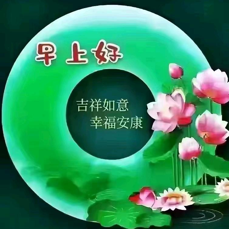 九九奔奔奶奶