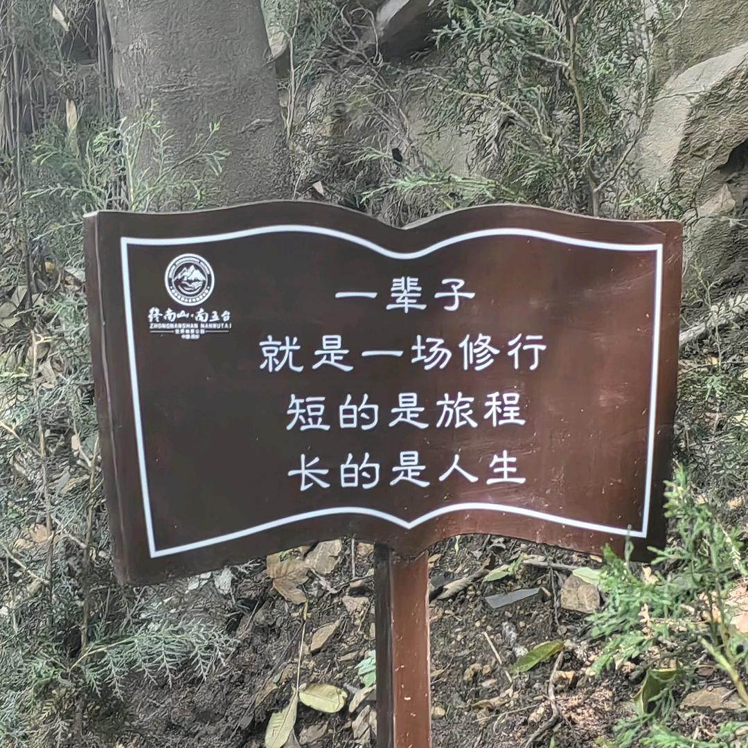 一念之间_240397384