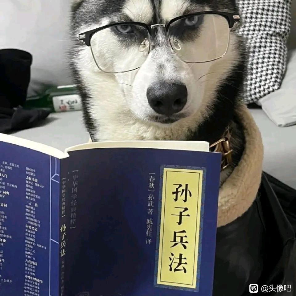 岁暮迟