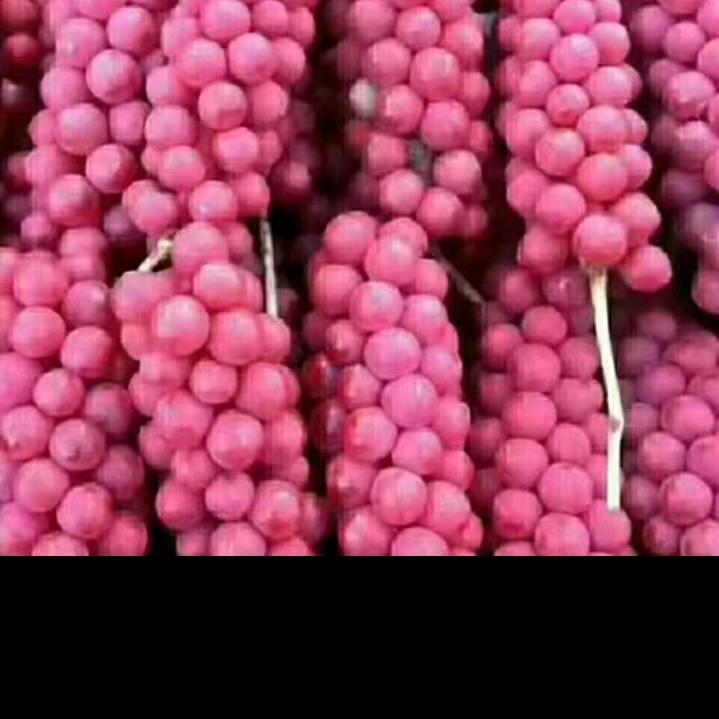 今生难忘