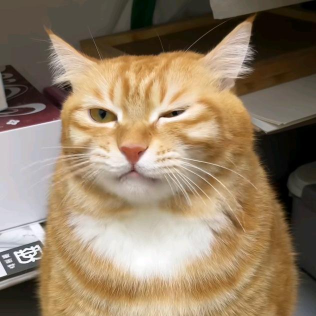 从天而降的彩虹