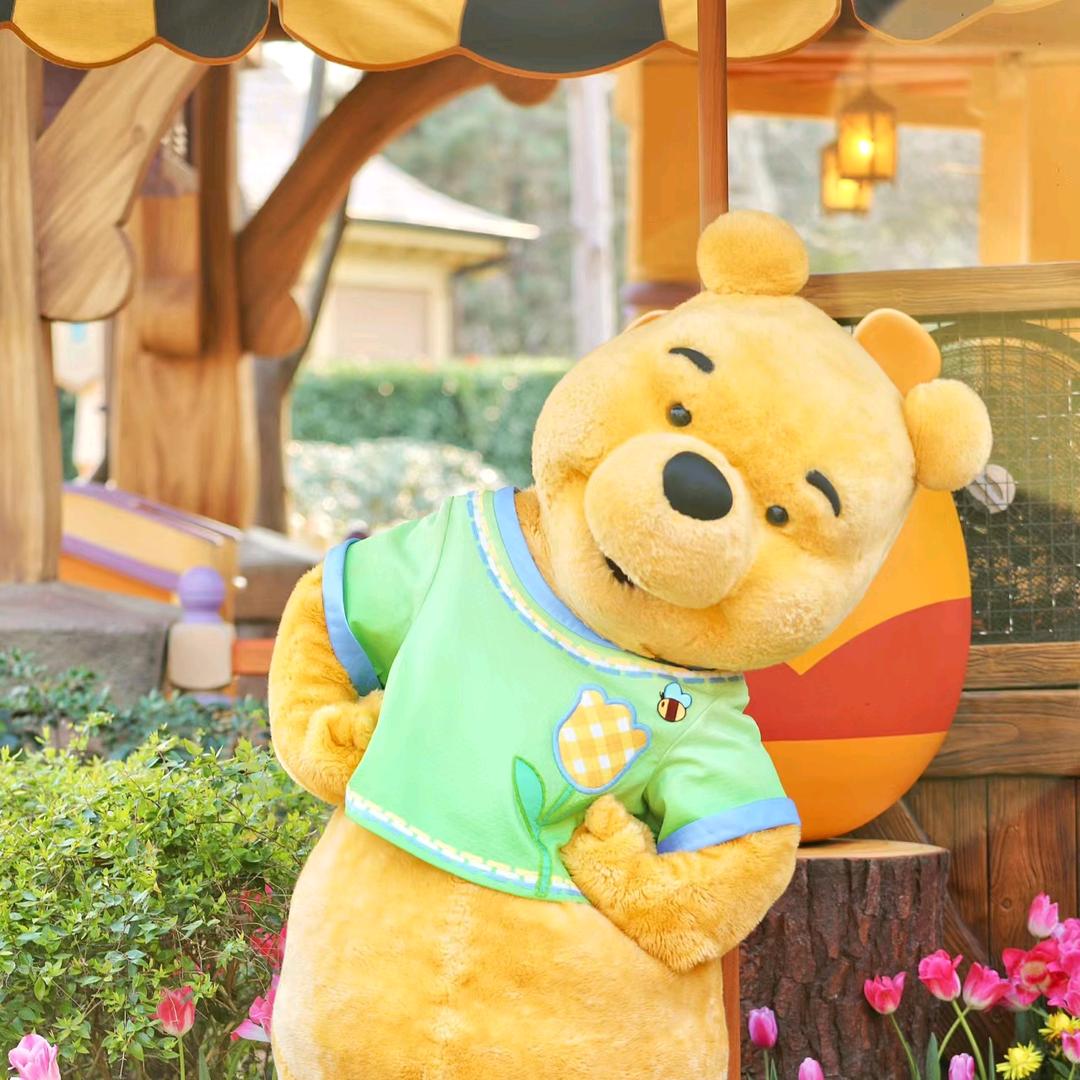 我就是那个西兰花🥦