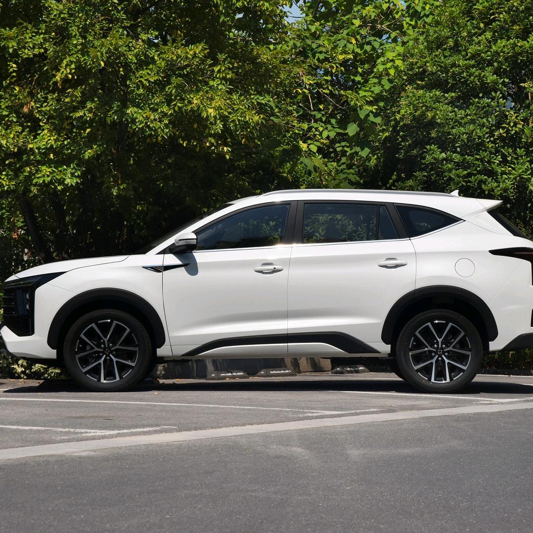 竹子汽车- 叶子助理 小毅