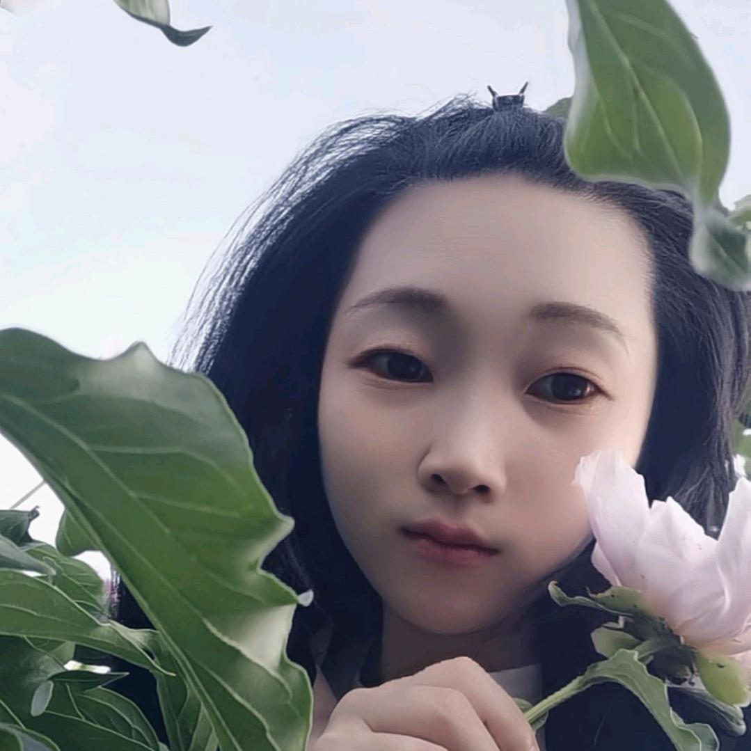 是婷婷吖（向阳而生）