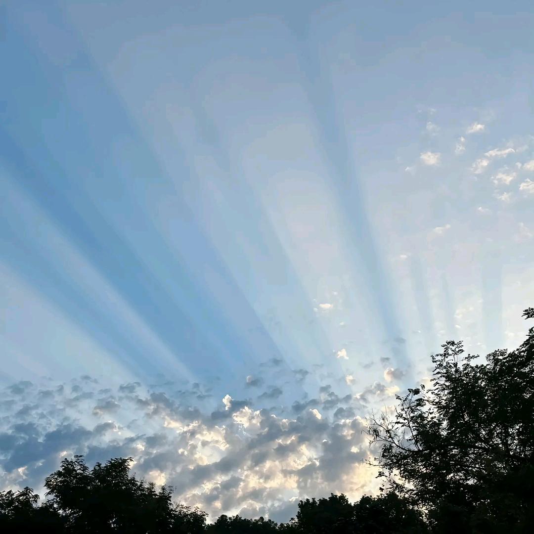 好运蒋临
