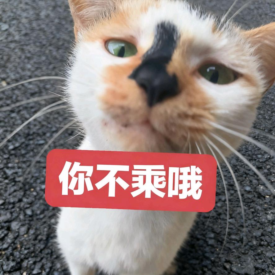 系柳舟.
