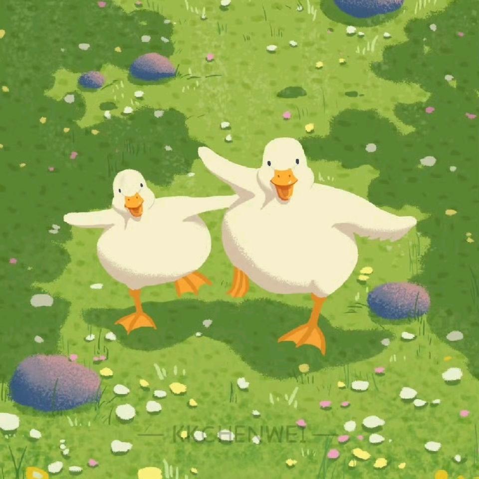 张淯绮