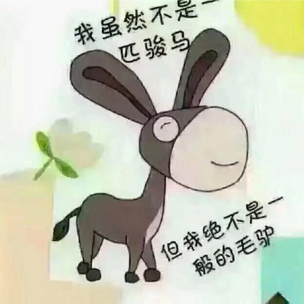 驴子最好用
