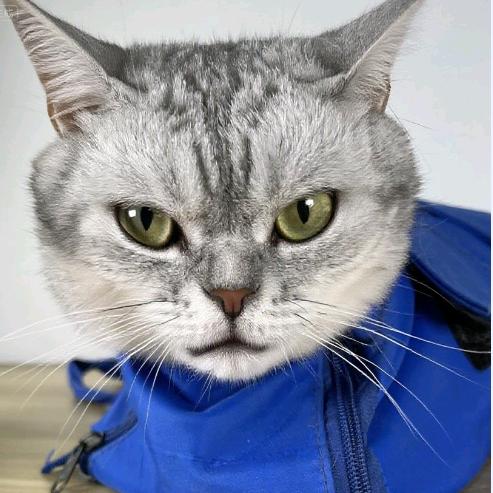 尤品滋老张😯交友🧧利版😎