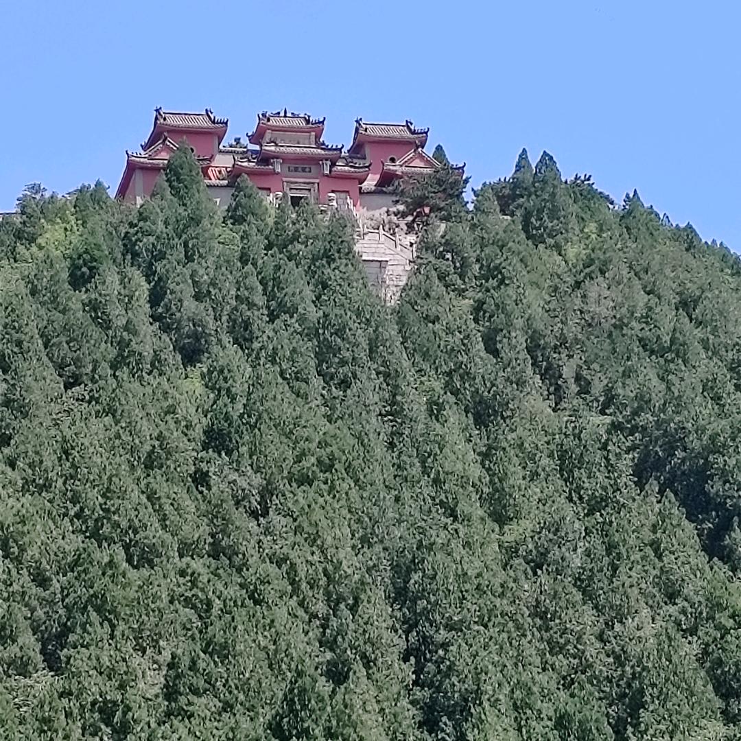 正义龙哥