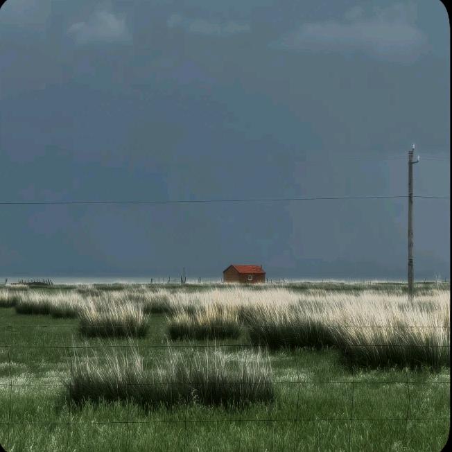 天港闪睡福利社