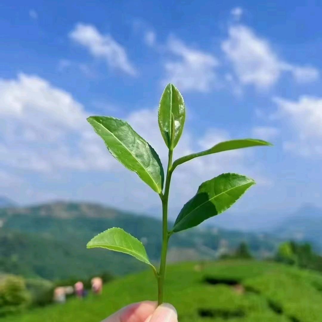 荣星百货优选