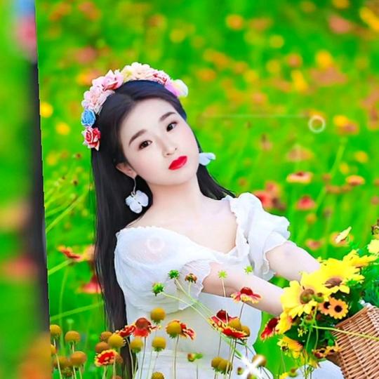 招财进宝：善恩结善果🍎