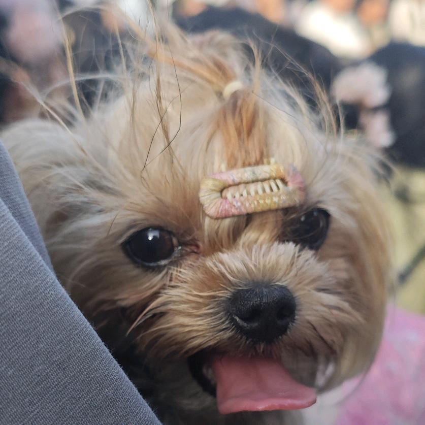 我脸¹点也不圆